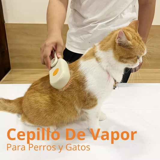 PetZone™ Cepillo de Vapor 3 en 1 Para mascotas